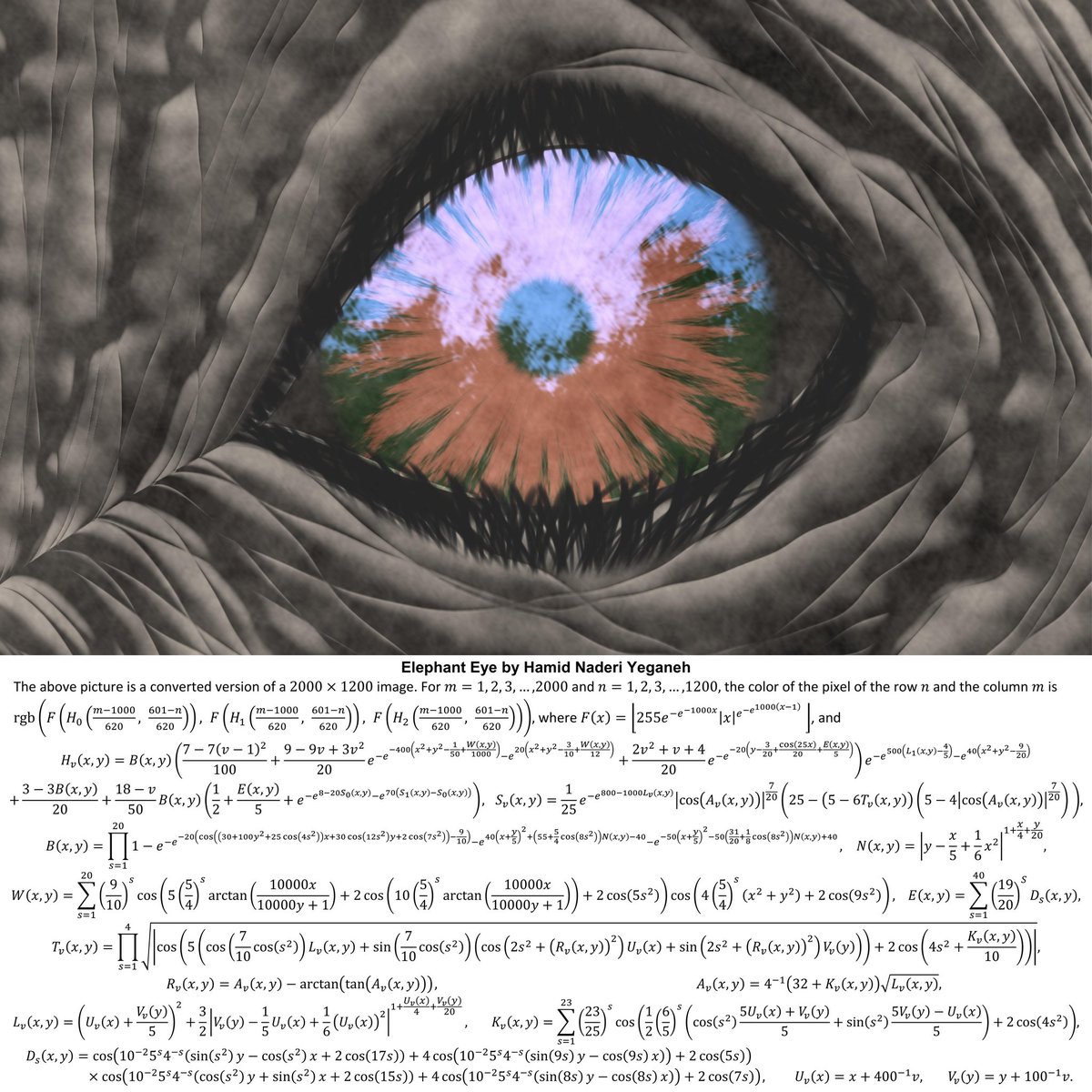 naderi_yeganeh's tweet photo. I drew this elephant eye with mathematical equations. https://t.co/GWpCpfCYHH