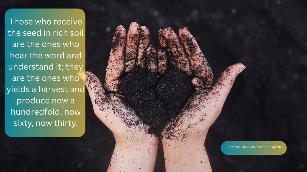 srjudithl's tweet photo. #Benedictine, #challenge, #Christ, #Disciples, #Discipleship, #gospel, #heart, #Hope, #kingdom, #KingdomValues, #lectiodivina, #love, #newlife, #ParableOfTheSower, #seeds, #Sower, #trust Seeds of life, new blog post on https://t.co/4NTTUU2mqI https://t.co/DVjXqdQoNx