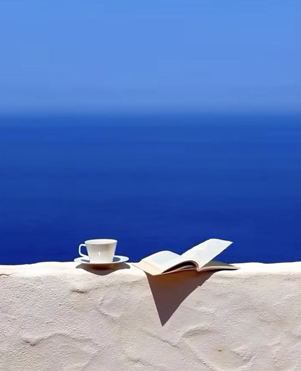 EvaLovesDesign's tweet photo. Good morning 𝕏. Happy Saturday https://t.co/j7ffeTibe4