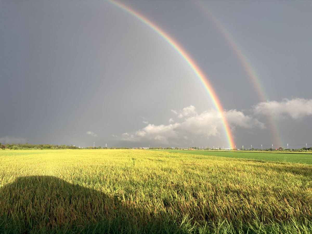 Oomim_11's tweet photo. ฟ้าหลังฝนวันนี้🌦️

🌈มีสายรุ้งสวยๆมาฝากทุกคนคร้าบ🌈

เพื่อให้ได้ภาพนี้ เราลื่นล้มก้นจ้ำเบ้าไปหนึ่งรอบเลยนะ🤣

เสียดายถ่ายไม่ทันเลยได้แค่นี้…เด่ววันหลังถ่ายใหม่🌷✨ https://t.co/fpXKyiwqno