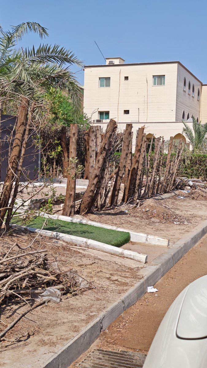al_dhaen's tweet photo. يا اخوان لا يضحكون عليكم العمال الي يقصون الاسوار الزراعيه ما يصير تقص شجر كاربس مزروع من فتره و جذعه كبير على ارتفاع متر و نص ! 
قصوه لي آخر شي خل بس ٣٠ سم منه علشان يرد يسكر 
اما تقصه جذي راح يطلع فوق و تحت بيظل على نفس الوضع https://t.co/FhH1eg0Pne