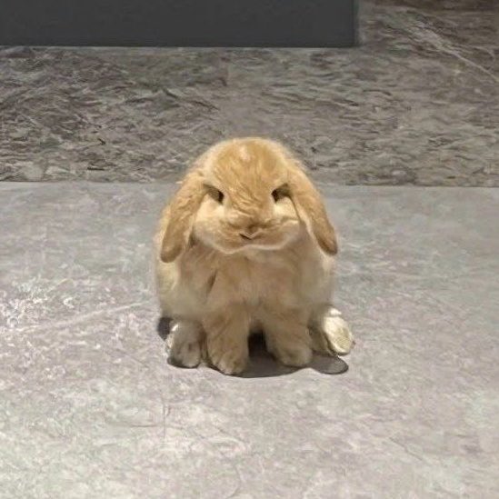 miffyzkoo's tweet photo. rage is consuming them.. https://t.co/IqNfo5YNHJ