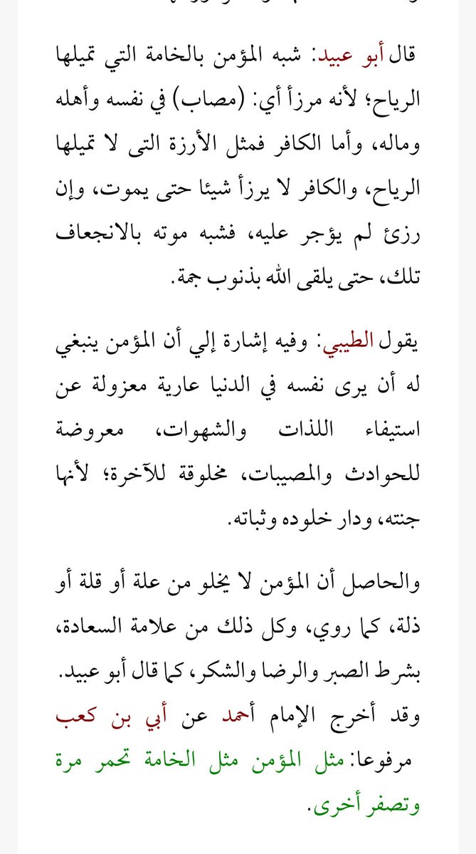 aborashed3980's tweet photo. قال رسول الله صلى الله عليه وسلم: مثل المؤمن كمثل الخامة من الزرع، من حيث أتتها الريح كفأتها، فإذا اعتدلت تكفأ بالبلاء، والفاجر كالأرزة، صماء معتدلة، حتى يقصمها الله إذا شاء.. https://t.co/r7i6IODYTV