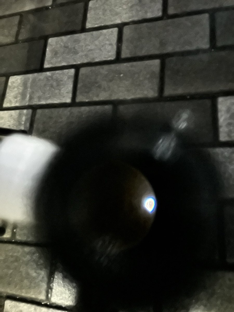 ELySX1ZFqpJULUK's tweet photo. 西の空に明るく光星。
これが金星か？

#おうちLABO https://t.co/9fbqsuB5X4