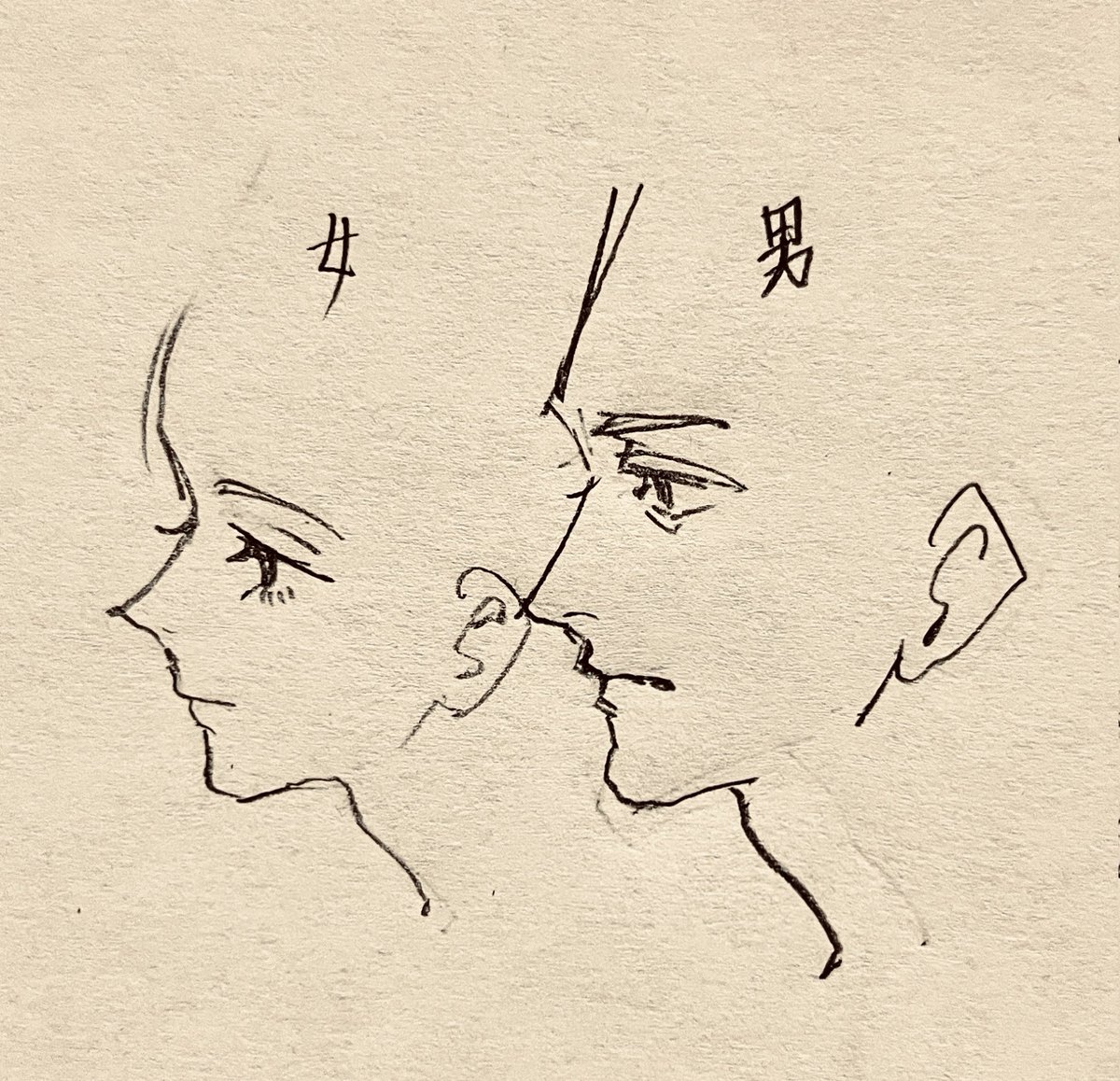siratama2_1217's tweet photo. この骨格の描き分けが楽しい https://t.co/lY1wAjAmYZ