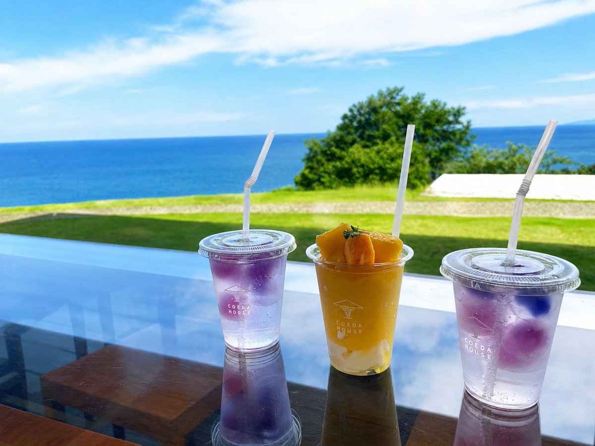 moegi3o3's tweet photo. 友人４人と熱海旅行に行ってました♨️
一泊二日だけれど充実した旅でした✨
お互い日常があって大変なこともあるけれど、ただ話してハプニングでさえも楽しかったです🌺
またみんなでどこかへ行きたい

写真はチャッピーにお願いしてポスターみたいになった映え写真
と、一番素敵だった來宮神社 https://t.co/rSvxGXWatl
