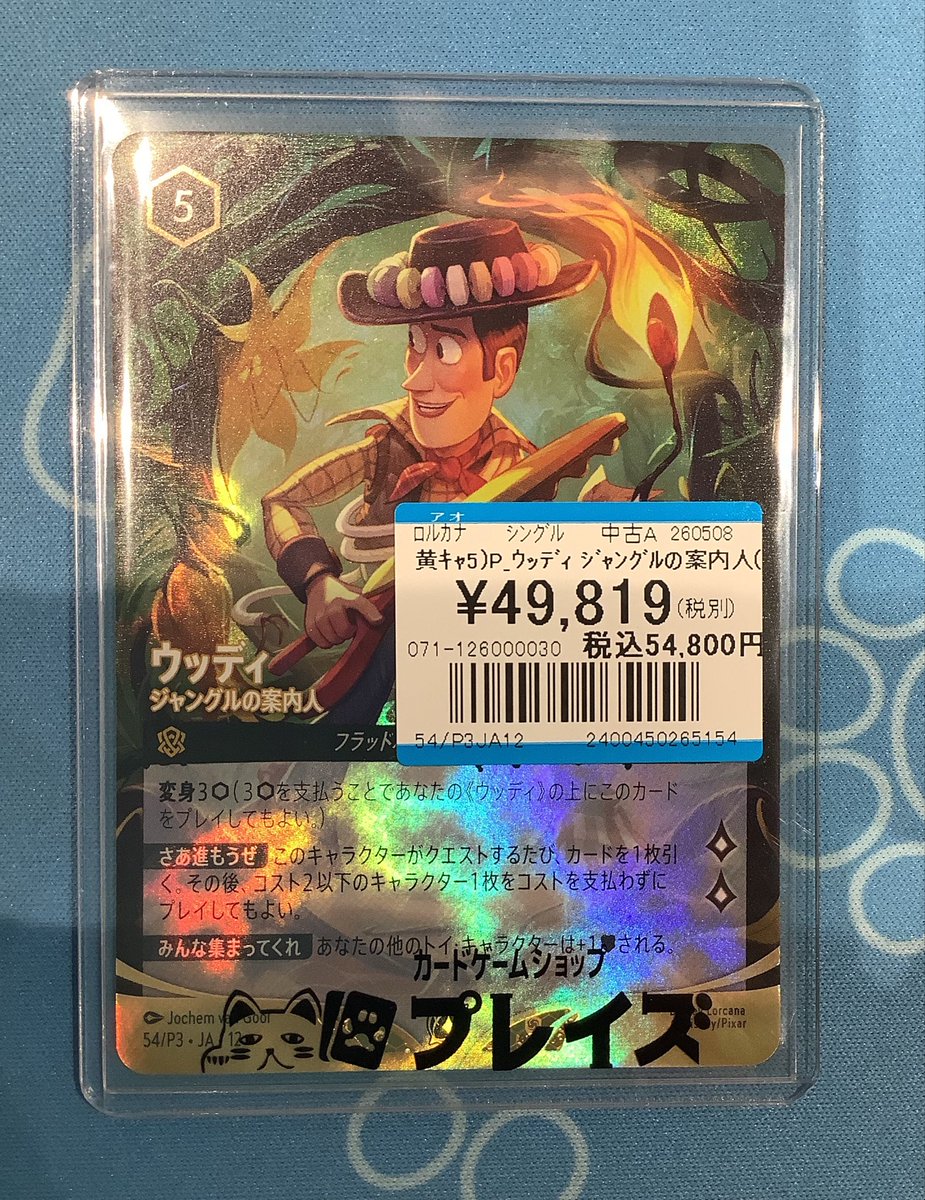 ✨入荷情報✨】 #ロルカナ ✨54/P3 JA12 『ウッディ ジャングルの案内