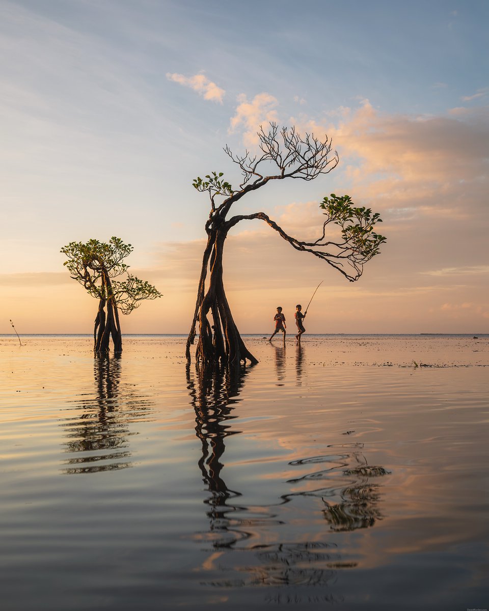 yourplanetonx's tweet photo. A cute little fisherman standing peacefully under the beautiful dancing trees of Sumba.

The calm breeze, natural beauty, and simple village life make this moment truly special 🌴

#Indonesia #Sumba

👍Follow @yourplanet.earth for more
🙏Turn on notifications for future updates https://t.co/kb1ati3PMg
