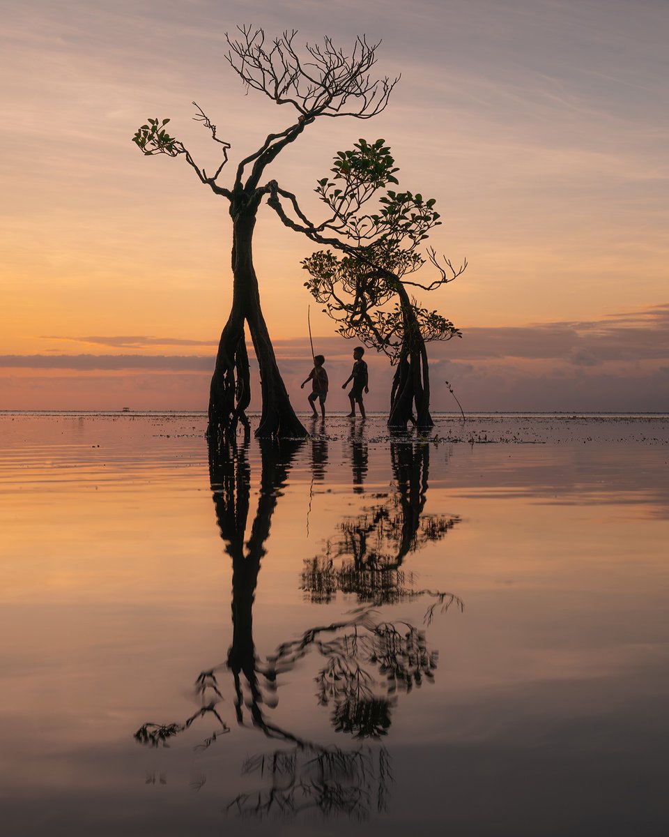 yourplanetonx's tweet photo. A cute little fisherman standing peacefully under the beautiful dancing trees of Sumba.

The calm breeze, natural beauty, and simple village life make this moment truly special 🌴

#Indonesia #Sumba

👍Follow @yourplanet.earth for more
🙏Turn on notifications for future updates https://t.co/kb1ati3PMg