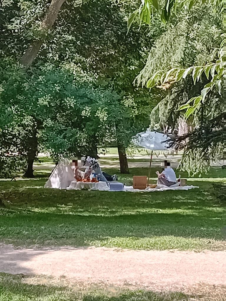 DanielSenda's tweet photo. En el #parquedeElRetiro no está permitido instalar ningún tipo de elemento, es un jardín histórico, BIC y Patrimonio de la Humanidad por la @UNESCO @UNESCO_es ninguna moda, negocio o actividad de ocio está por encima de las normas @policiademadrid Ayto. de @MADRID tome nota https://t.co/GnuPDbWkWg