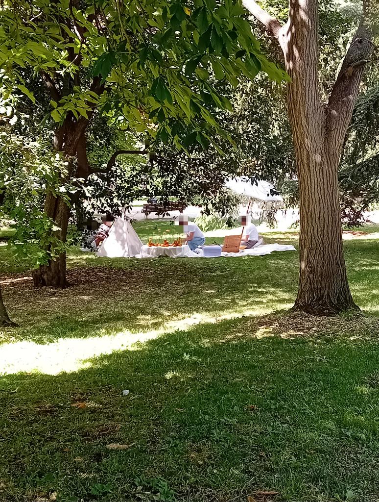 DanielSenda's tweet photo. En el #parquedeElRetiro no está permitido instalar ningún tipo de elemento, es un jardín histórico, BIC y Patrimonio de la Humanidad por la @UNESCO @UNESCO_es ninguna moda, negocio o actividad de ocio está por encima de las normas @policiademadrid Ayto. de @MADRID tome nota https://t.co/GnuPDbWkWg