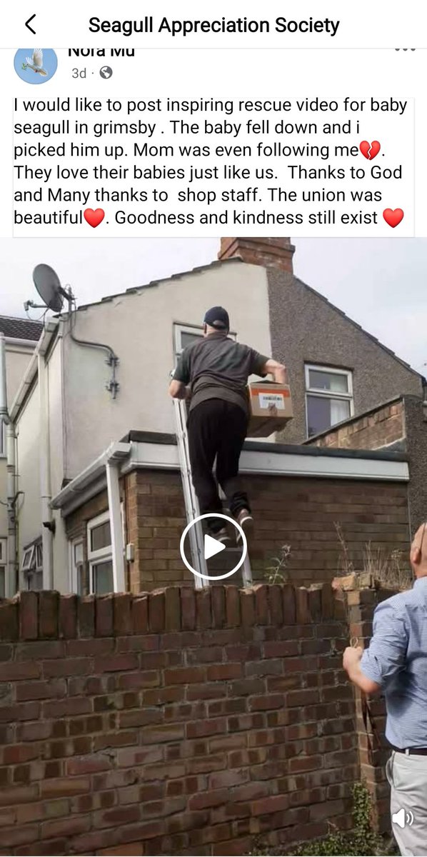 03Utd's tweet photo. @thekidvader @MirabelTweets1 @TRobinsonNewEra She literally posted everything on Facebook while she was rescuing it https://t.co/pShDhfmdCu