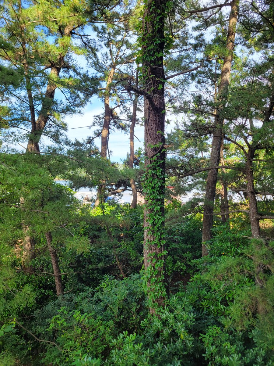 haruchanbaka's tweet photo. 家族旅行。南伊豆弓ヶ浜温泉 季一遊。 https://t.co/mex0W3Nz8h
