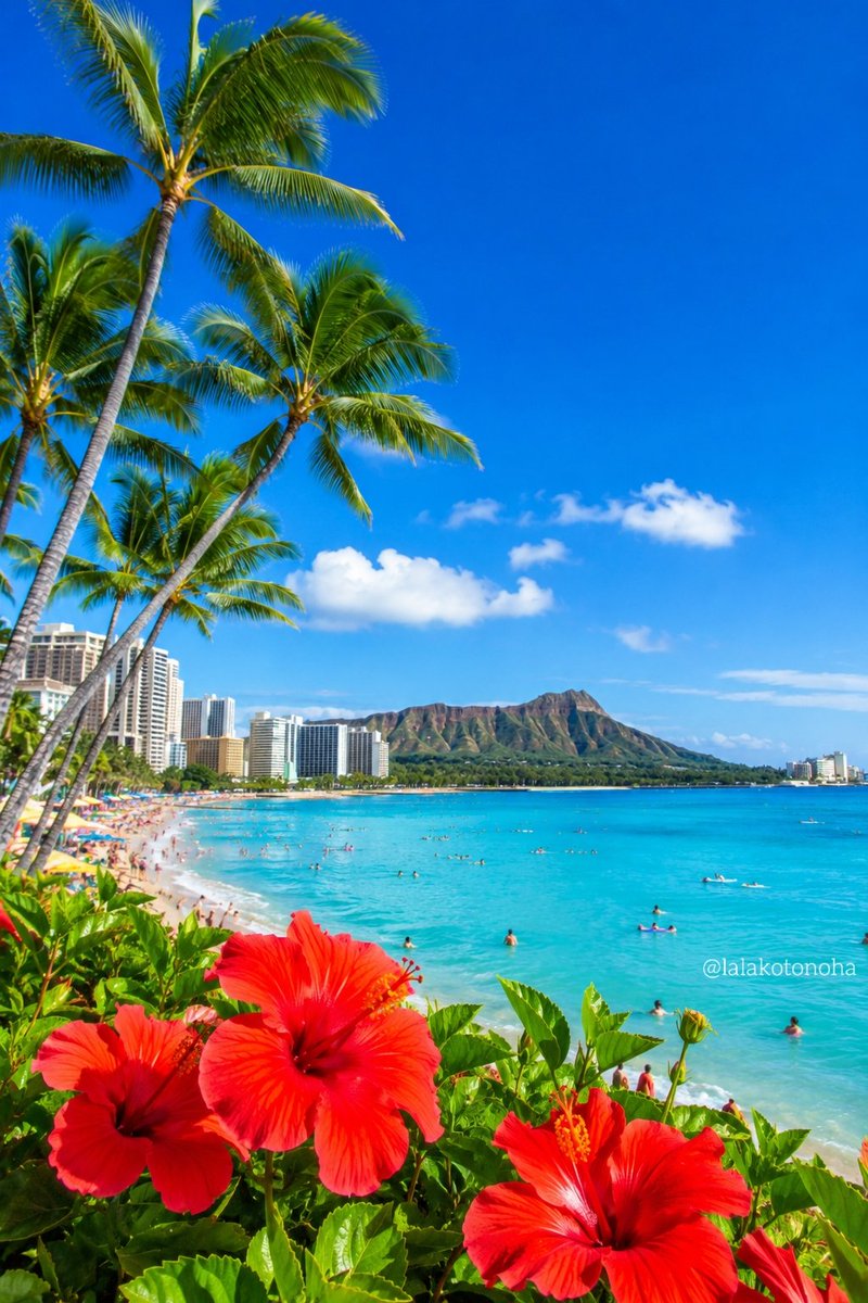 aloha
