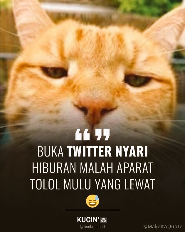 yusuffr_'s tweet photo. https://t.co/Sa3UB7HsP8