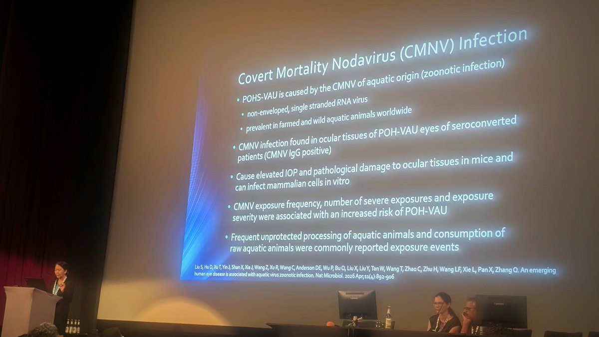 DrNimaGhadiri's tweet photo. Persistent ocular hypertensive viral anterior uveitis (POH-VAU), an emerging disease linked to aquatic-origin covert mortality nodavirus (CMNV), is now featuring in our international ocular inflammation meetings 🦐👁️

Prof Chee Soon Phaik highlighting how 
Zoonotic spillover may present in the eye, with inflammation, raised IOP and sight-threatening damage. 🦐👁️

 #ISU2026 #Uveitis