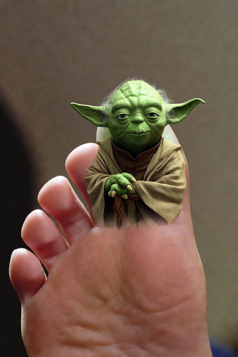Jason5811640971's tweet photo. @DirtyMoMedia this is exactly how @DaleJr says Toyota  
#toeyoda https://t.co/VE8YSpWI4f