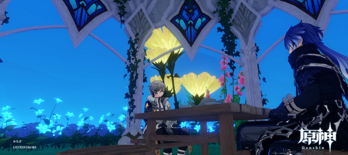 amaoto4949's tweet photo. 日曜日にいよちゃんと原神マルチした際に、ここずっといじってなかった自分の壺の写真撮ったけど当時の私なかなかいいセンスしてるな https://t.co/MEVBt1LC2m