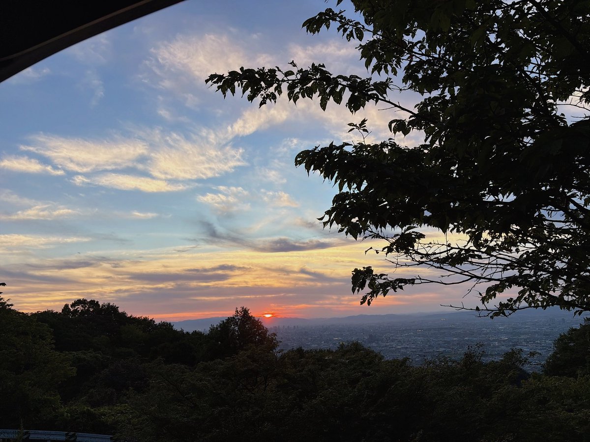 myonta0927's tweet photo. 夜景見に行った！車の後ろに座って見てた🚗³₃ https://t.co/9QAgz8dGys