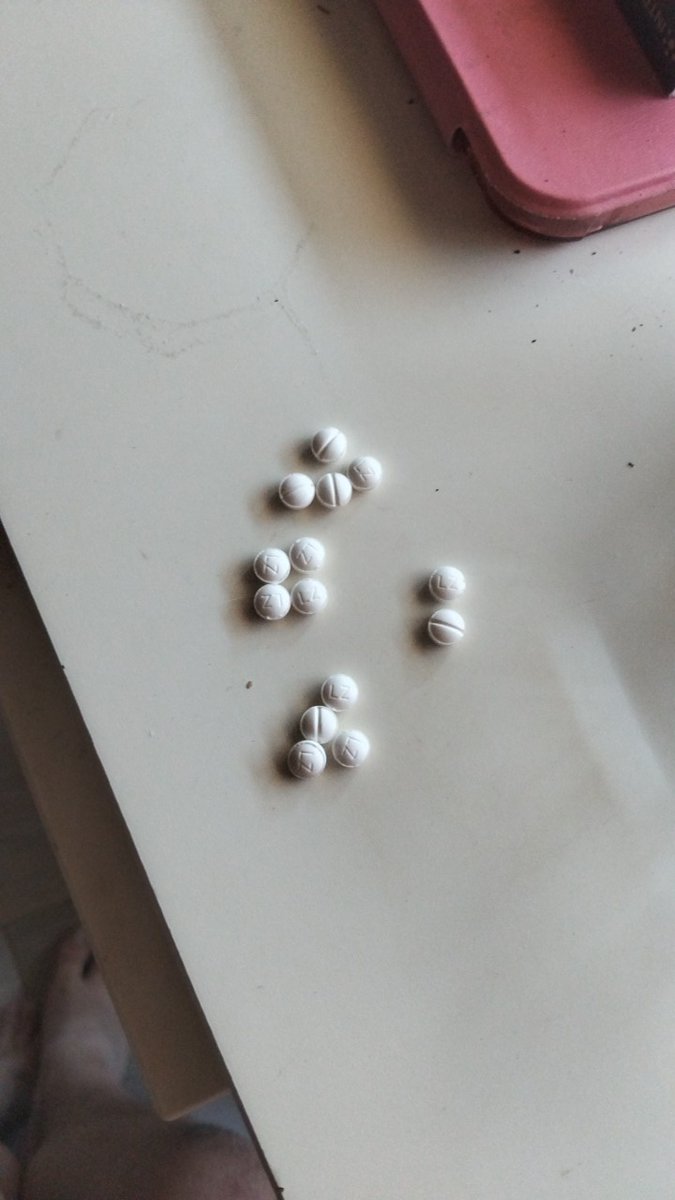 al3x988's tweet photo. (NOT FROM TODAY)
Yeah I'm pretty sure I actually took all the pills in the blister ๐ญ๐ญ I thought maybe I'd have some spare pills around my bedroom but nope ๐๐๐ #benzos #drugtwt https://t.co/dllVgjXkd8
