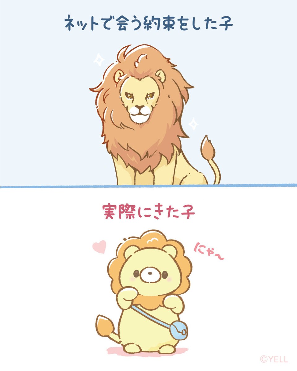 Kowakunaine's tweet photo. にゃ〜✨ https://t.co/78TRt2n1KE