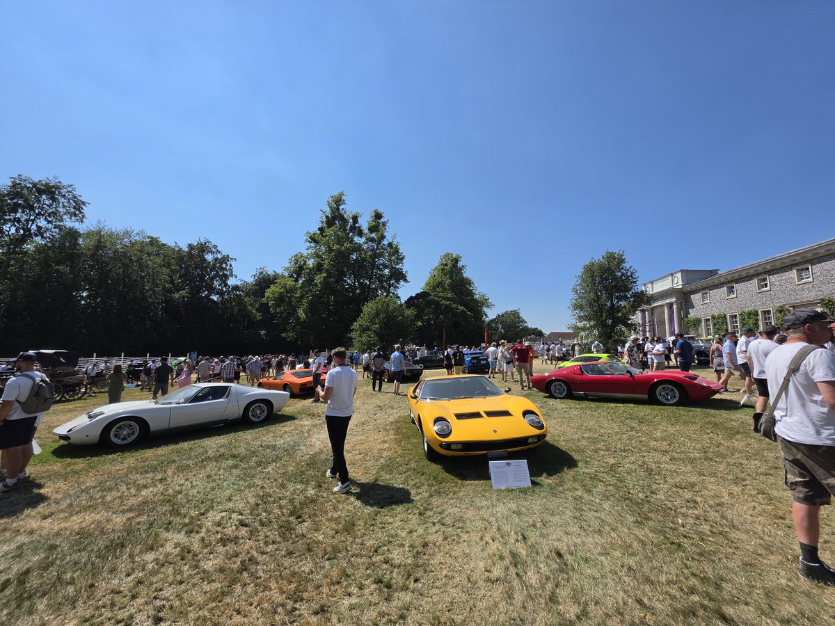 RaceDayReplay's tweet photo. Miuras? Miurai? Anyway, there's a lot of them #fosgoodwood https://t.co/DVfdPzjLoJ