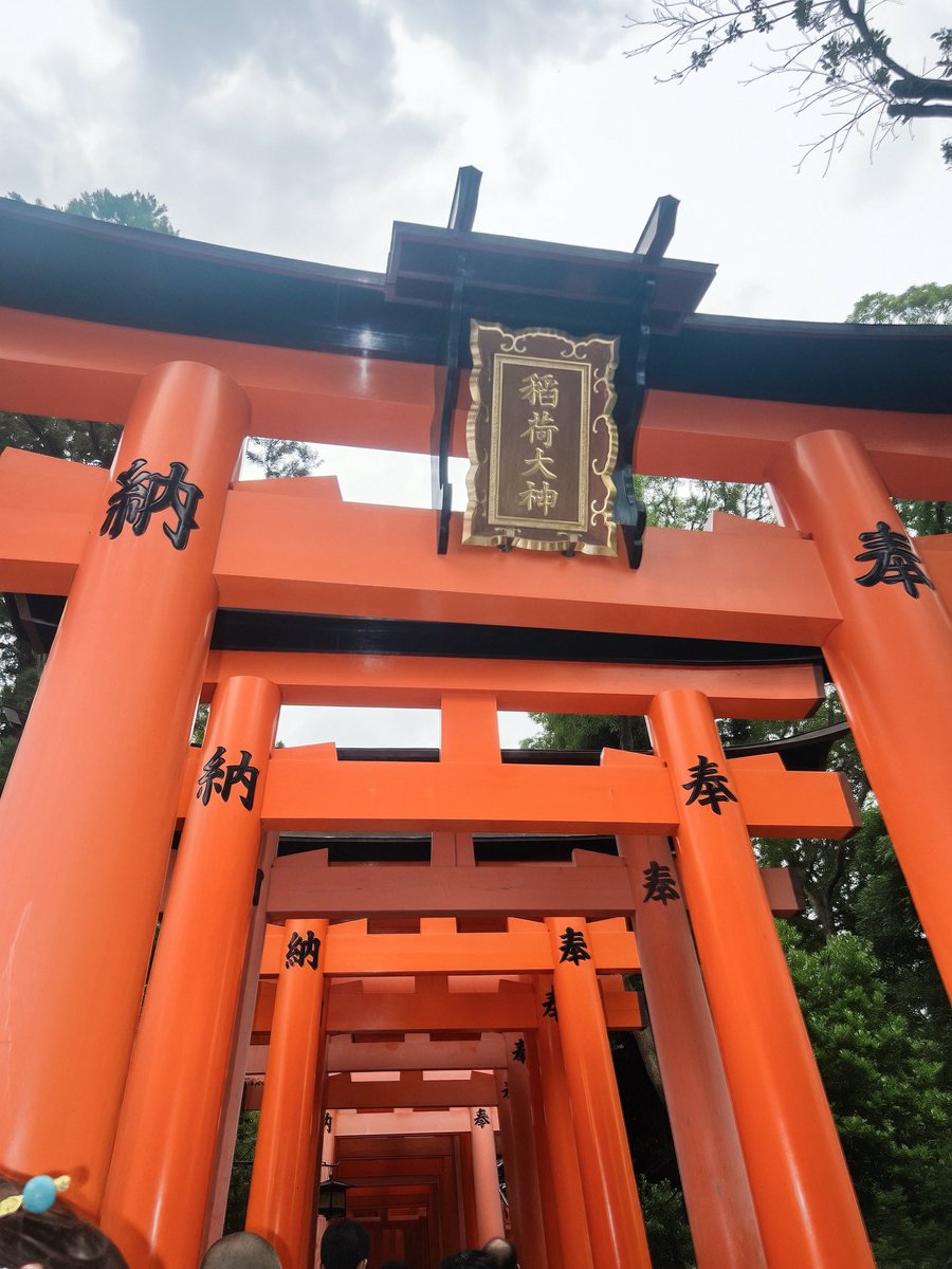RoEofficial_'s tweet photo. 高級我流 in 京都⛩️
夢の京都でなんと大大吉🫶🏻 https://t.co/7LYEIW9ph3