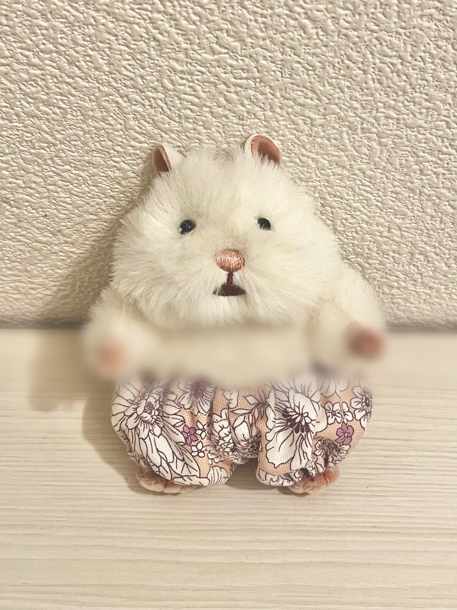 hamhambocco's tweet photo. maruはかぼちゃのパンツを作ることを覚えた🎃💕（上はかわいそうでぼかした🫣）
次は柔らかめの布で作ってみよ. 𓂃 🪡
上は付け襟風作ってみようかな🎀 https://t.co/CYC8l0oHLV