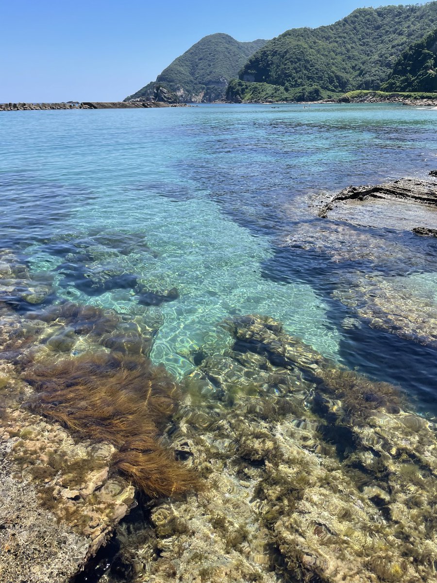 dorami_95's tweet photo. 海と旅館飯！日焼け痛すぎ…皆日焼け対策は思ってる倍で対策してね… https://t.co/z9Pmiykc6T
