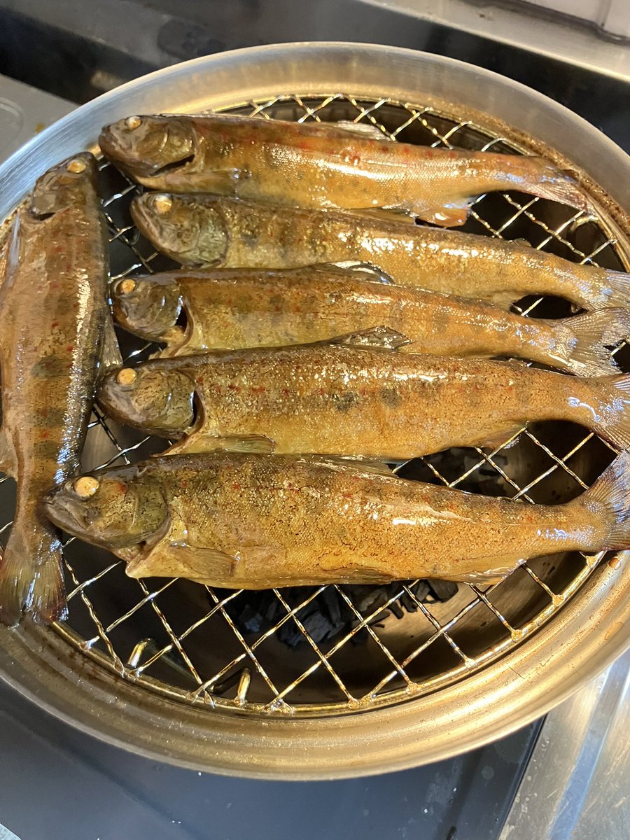 334marx's tweet photo. アマゴをワイン樽の切れ端で燻製してみました。
もはや日本料理の枠を飛び越えた感覚です https://t.co/RD45prrYVd