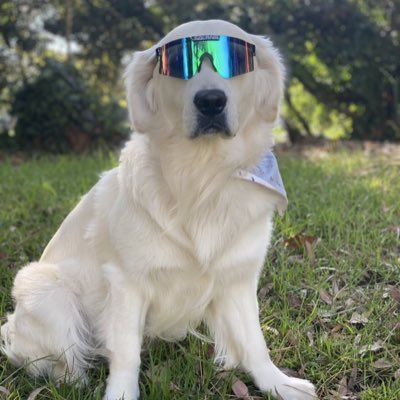Devorah653929's tweet photo. #NouvellePhotoDeProfil https://t.co/92fczGxQ7M