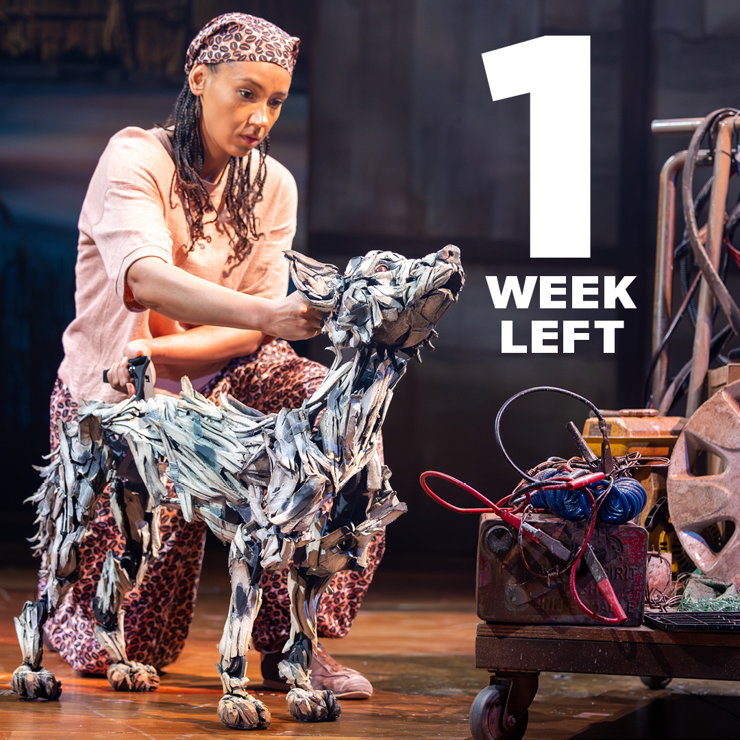 TBWHTWMusical's tweet photo. One week left in Wimbe 🌬️

Final chance to see The Boy Who Harnessed the Wind in the West End. Season must end 18 July.

#TheBoyWhoHarnessedtheWind #NewMusical #SohoPlace #WestEnd https://t.co/9T57o2yHxV