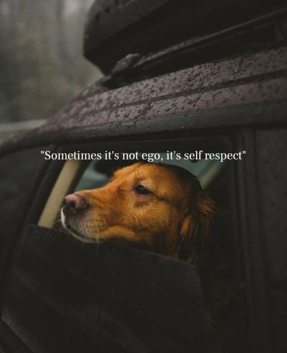 Dearme2_'s tweet photo. I don't beg... I don't chase. https://t.co/EoB9qsdQkW