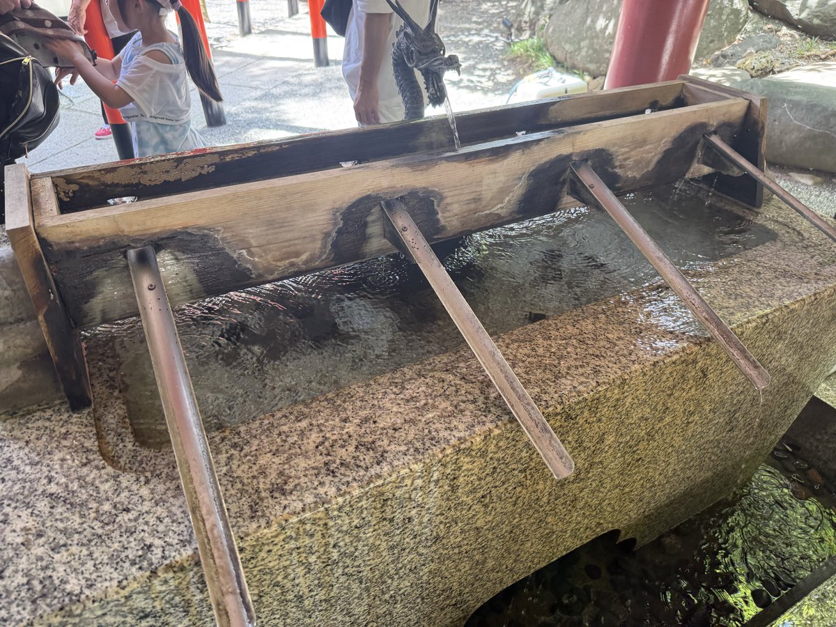 iris001971's tweet photo. 今日の目的来宮神社⛩️
前から来たかった！ https://t.co/THfqTAGpgE