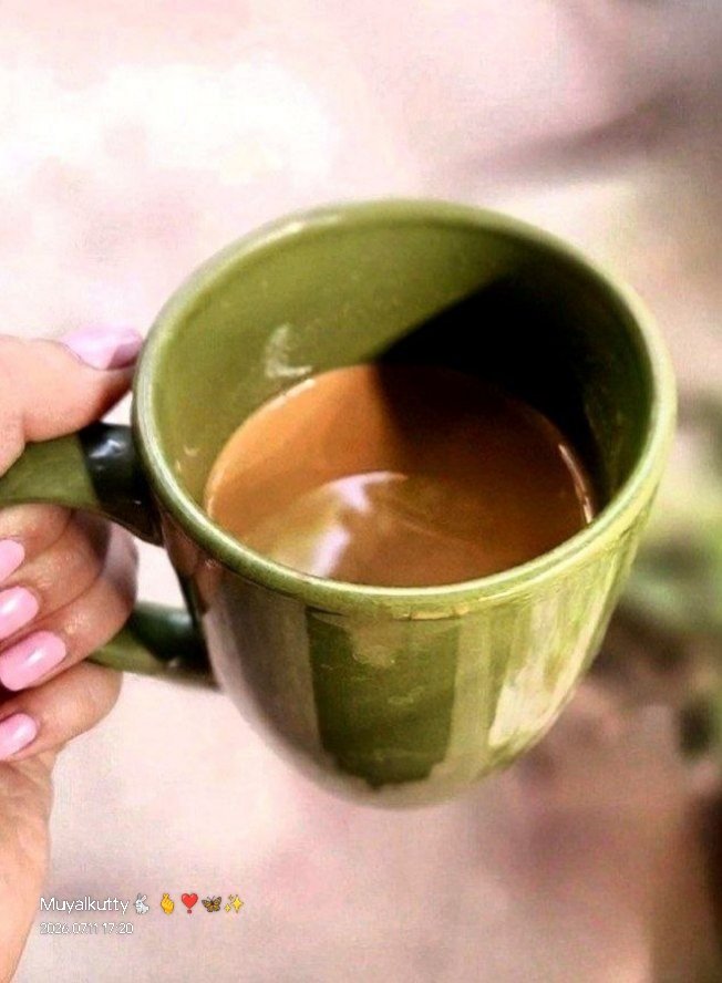 White_forestsg's tweet photo. ஜன்னலோரம் லேசான தூறல் 🌧️
கையில் சுடச்சுட ஒரு கப் டீ. ☕
மனசுக்கு பிடிச்ச பாட்டைக் கேட்டுக்கிட்டே, இந்த மழையையும் டீயையும் ரசிக்கிற சுகமே தனி தான்! 🎶✨

இனிய மாலை வணக்கம்🌧️🫰

முயல் குட்டி🐇🤗

#RainyDay #TeaLover #EveningVibes #MonsoonDiaries #ChaiLovers https://t.co/UZEyICTpA9
