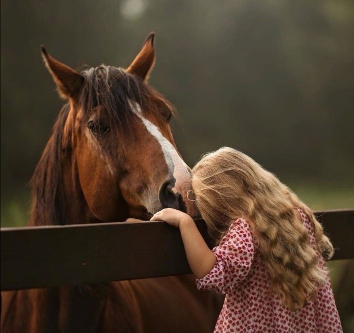 Behappy81303878's tweet photo. Як ранок можна вважати найкращою частиною доби, як весну - найкращою порою року, так дитинство - найкращою порою людського життя. 🖤💚🤎 https://t.co/ArHKyV08Mp