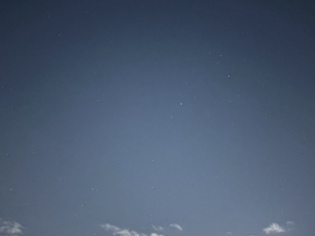 ORI0627's tweet photo. 今日の、お散歩写真＆昨日の夜空

紫陽花…もう終わりだねー
早いなー

今日も、暑かったねー
熱中症に！気を付けてねーฅʕ •ﻌ• ʔ https://t.co/6u8Q6FEhse