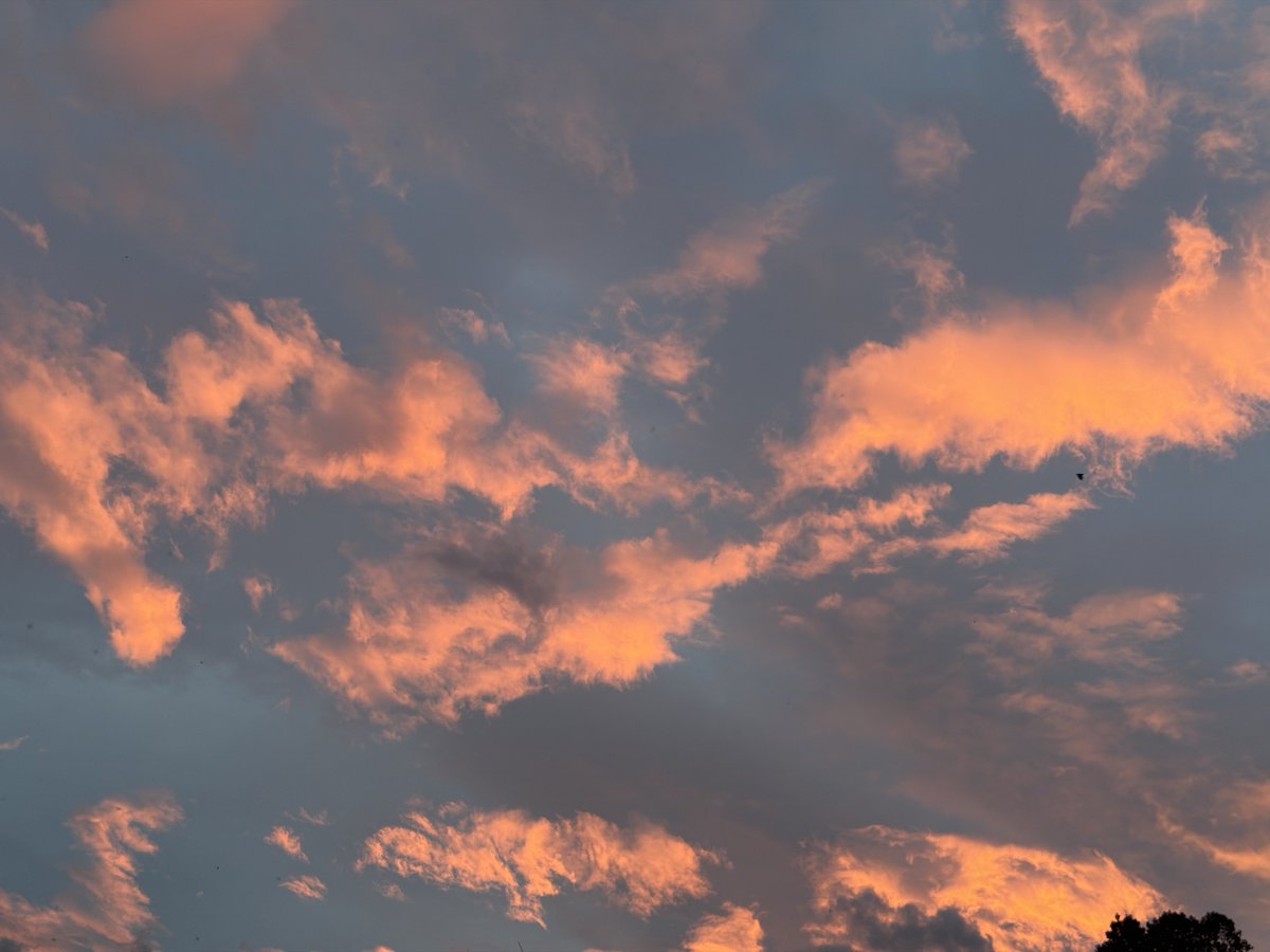 kun_bbl's tweet photo. 260711 #KUN 💬

"today's sunset is legendary!!" https://t.co/jxpQt8PYuk