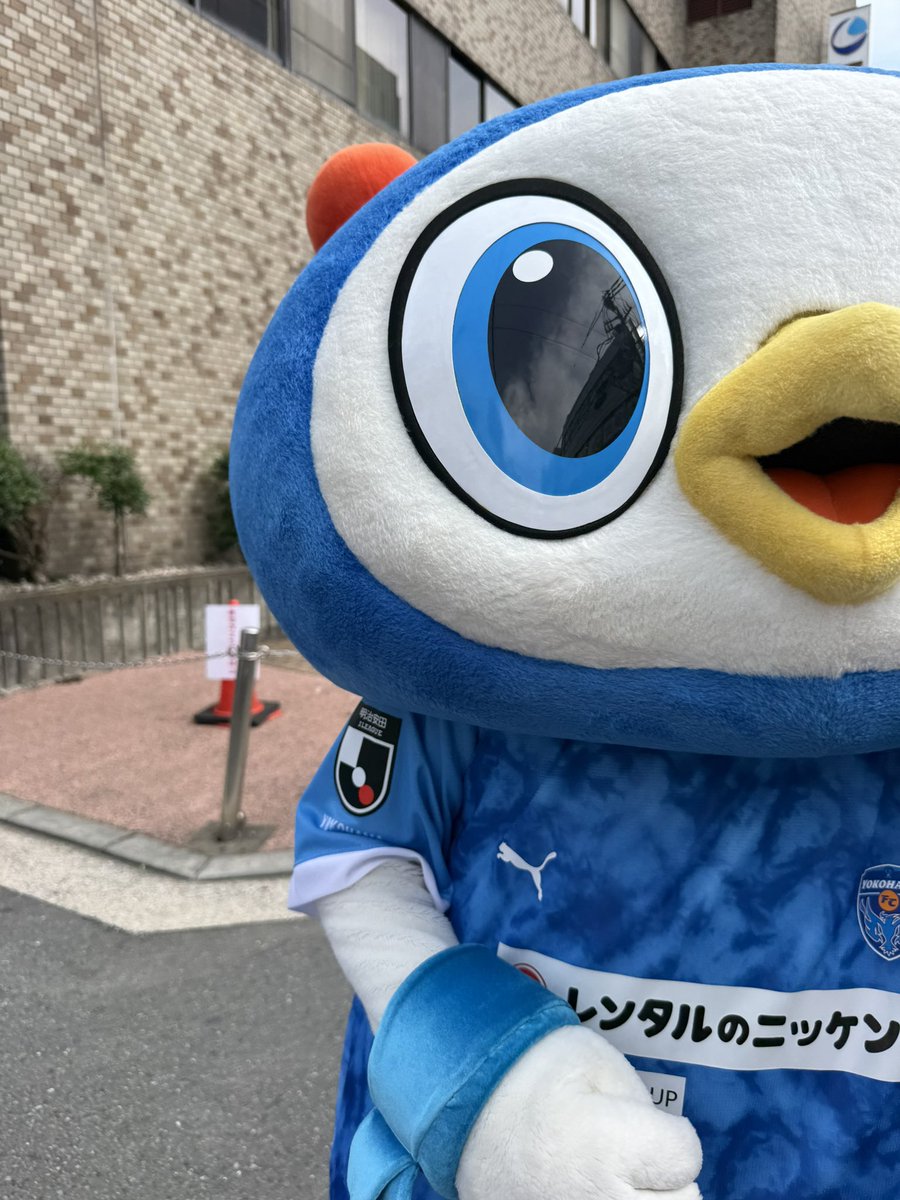 maruli99099's tweet photo. まんまる丸🔵
#フリ丸
#yokohamafc https://t.co/LSNUssSICS