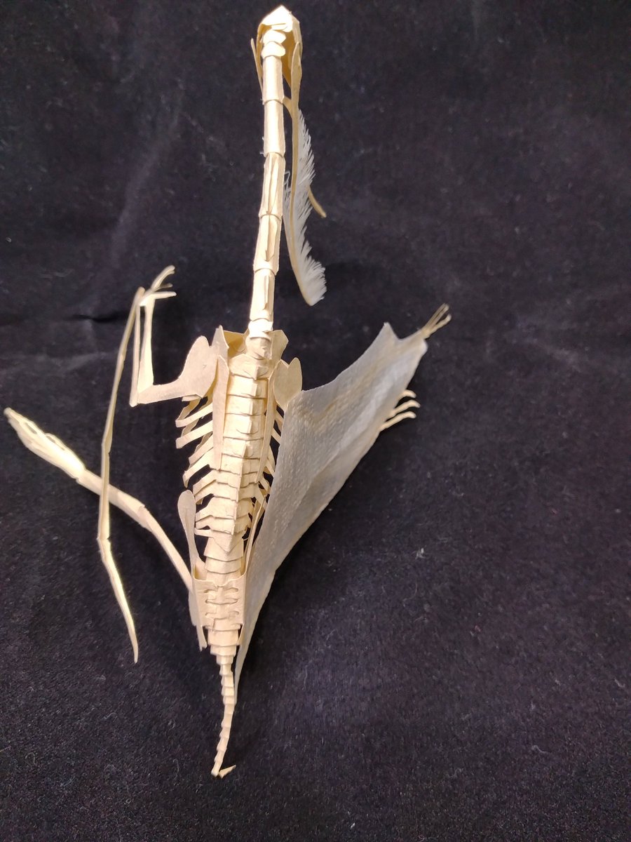 salvare035's tweet photo. 今日は、プテロダウストロを仕上げました。
古生物作品が、あと一つあるので、それは明日仕上げる予定。
#博物ふぇす https://t.co/ypPcVdTRqe