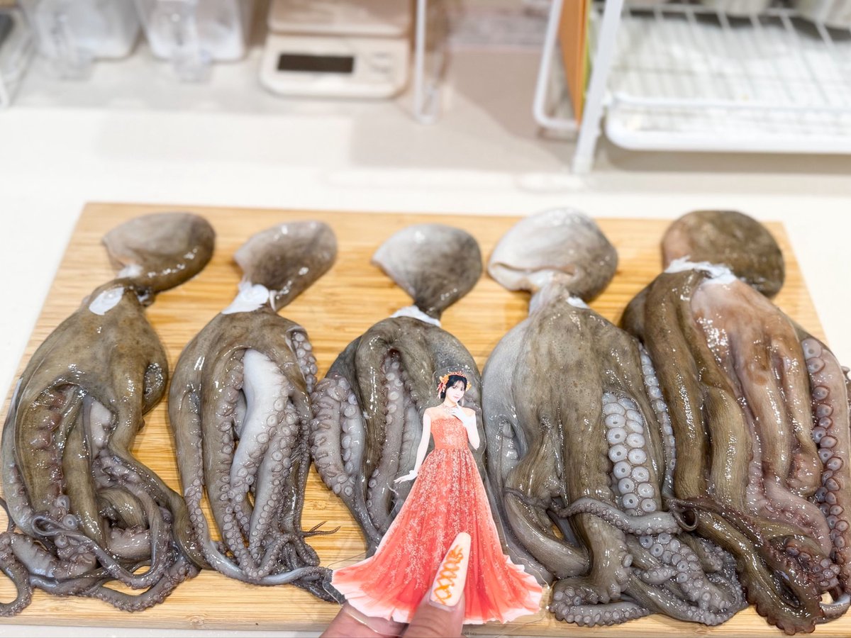 pyonkichi_su's tweet photo. 推し活じゃないけど
朝からタコ釣り行って帰ってきて
タコまみれご飯つくった🐙

#タコの大きさ比較するのに推しのアクスタ使うな
#衣装の裾がタコっぽいとか絶対言うな https://t.co/FHSiCkYNGH