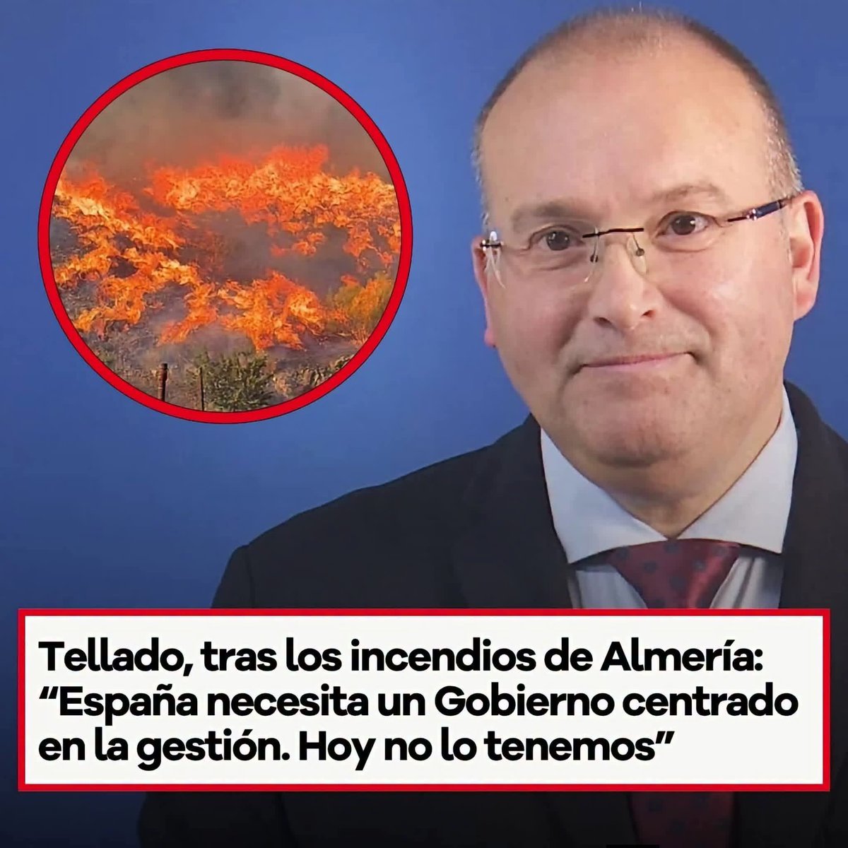 muzeriqui's tweet photo. Porky... Este capullo miserable soltando veneno, para eso lo tienen...La gestión de ustedes es llenar cementerios.. Desde el yak42, hasta la DANA pasando por los 7291 ancianos.. Miles de muertos y viene este vaina a hablar de gestión... Este tío que coño tiene en ese cabezón... Miserable alimaña rastrera..