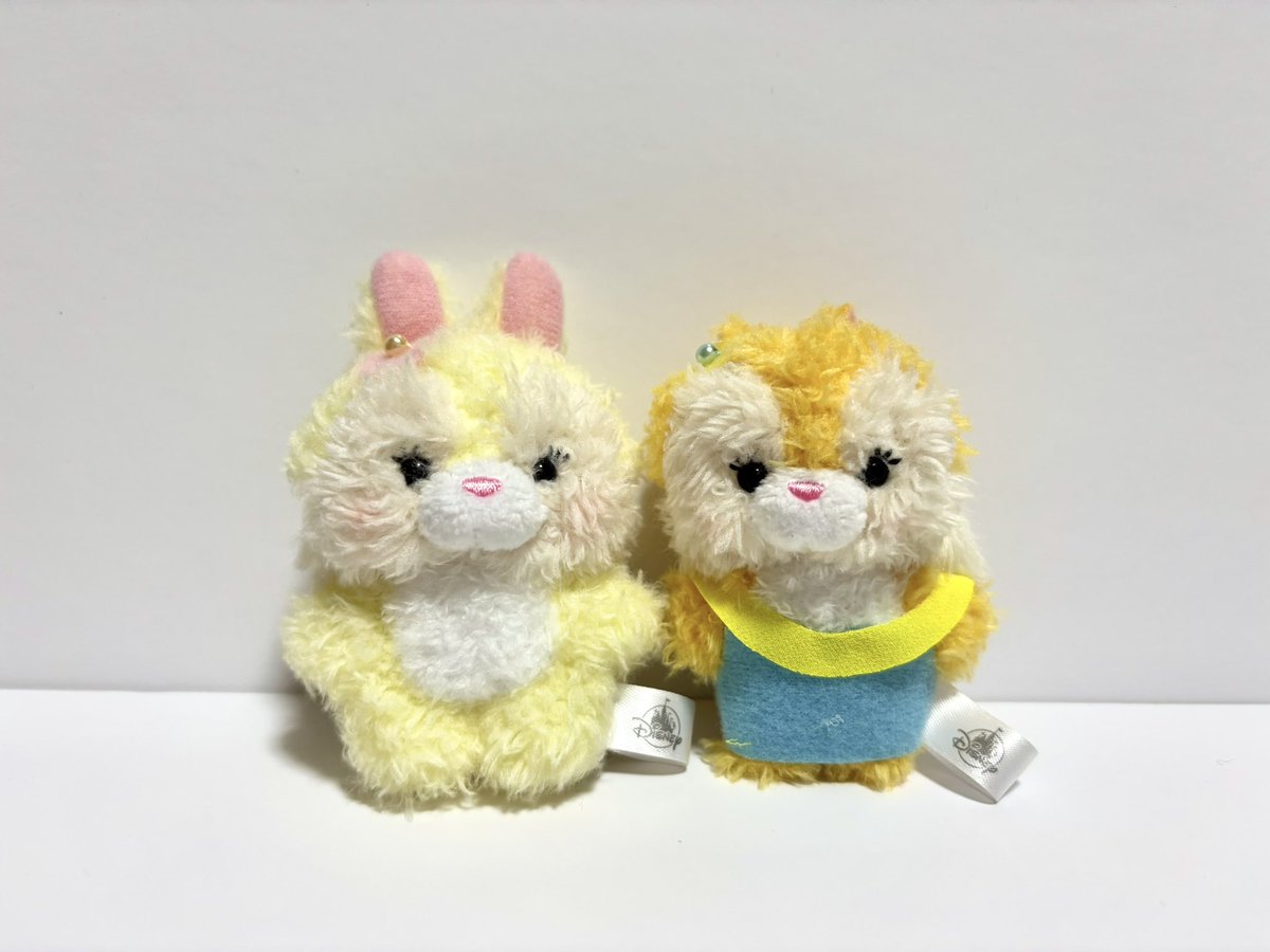 d_rabbit_mm's tweet photo. ｶﾜｲｰｯｯｯ https://t.co/1P6edtJJeG