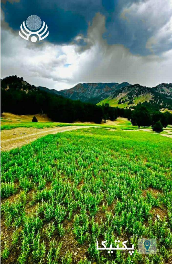 bnadari1's tweet photo. نمای از مکان‌های زیبا و سیاحتی ولایت پکتیکا.
#باختراژانس https://t.co/HBFPPWwoAF