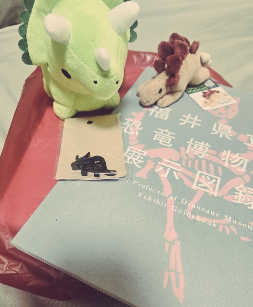 Ff11Guysama's tweet photo. 帰阪！
トリケラトプス
かわいいね
作問しちゃうね〜 https://t.co/gRrtWa1Q4Q