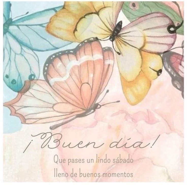 Katys178's tweet photo. Buen día ☀️ https://t.co/stMrZ7qrfA