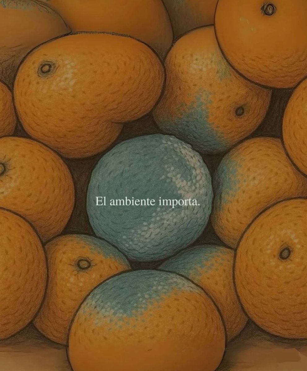 Cultura Literal tweet media