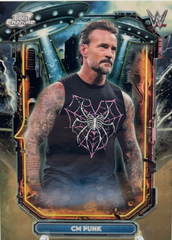 Wrestling Card Price Guide tweet media