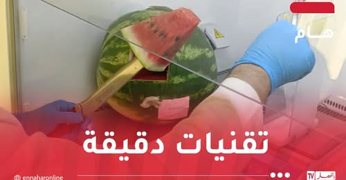 ennaharonline's tweet photo. بعد إجراء تحاليل مخبرية.. وزارة التجارة توضح بخصوص سلامة فاكهة “#الدلاع”
https://t.co/1qPkP01YnY https://t.co/fqMLskx3x6