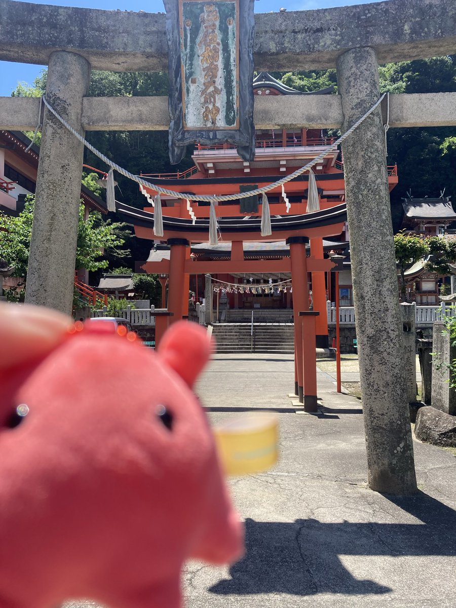 thf610969's tweet photo. ぬいの圧が凄い https://t.co/uc1bCWYwTx